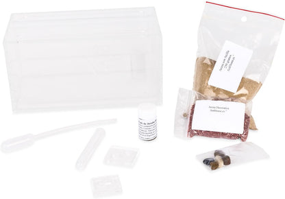 AntHouse Sand Ant Farm - Educational formicarium for Live Ants