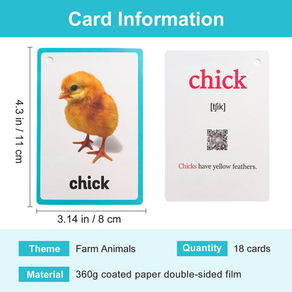 Lilias Body Parts Flash Cards, Toddler & Preschool Learning Toys, Kindergarten Learning Supplies, 4.3 x 3.14 Inch, 34 Cards