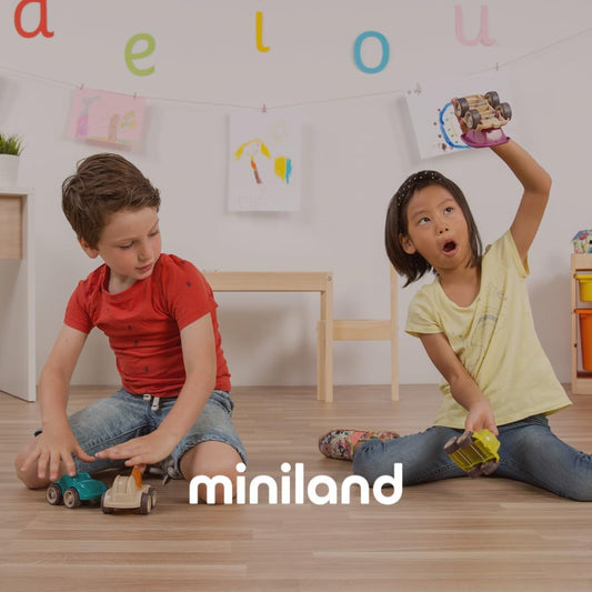 Miniland Activity Shapes for Children from 3 to 6 Years