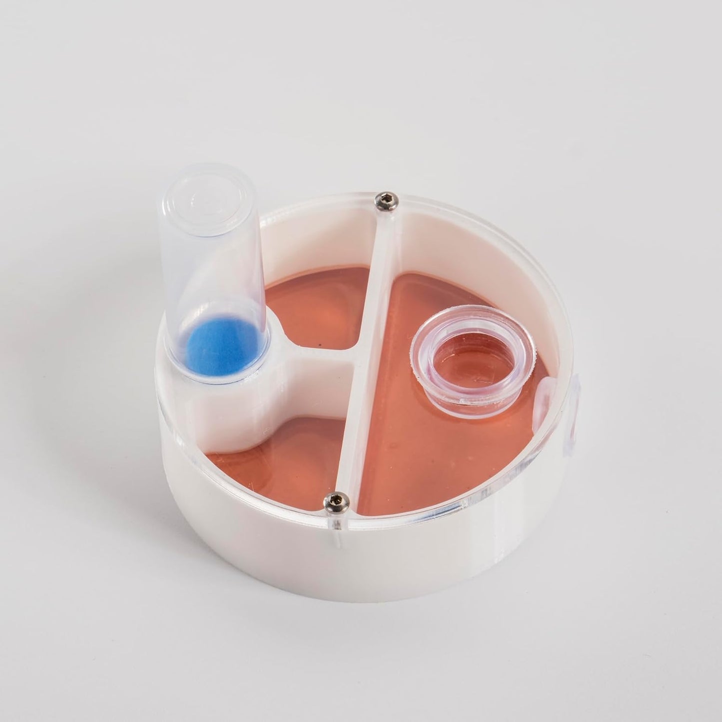 Mini Round Ant Farm Nest, White Plastic Educational Colony Kit with Water Feeder, Multiple Chambers for Observation, 2.4x2.4x0.8 Inches, Ages 3+