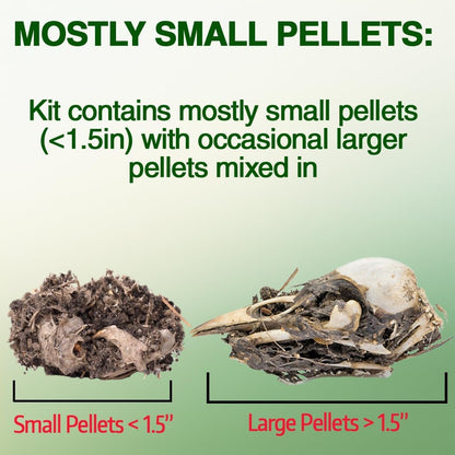ES EVVIVA SCIENCES Owl Pellet Kit - Dissect 15 Mostly Small Real Owl Pellets w/Tools & PDF Bone Charts - Science Education Kit for Ages 15+ - Hands-On Animal Biology Science Lab Activity
