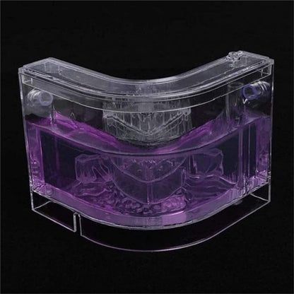 Ant Habitat Ant Farm Ant Castle Ant Castle Ant Studio Habitat Ant Farm Education and Learning Science Kit Ant Nest Farm for Learning Kit Ant Nest Ant House Ant Nest Farm(Pink), 22cm