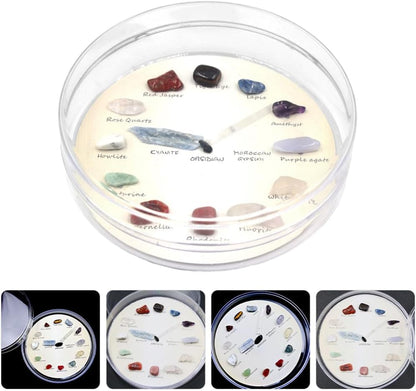 SOLUSTRE Agate Gem Mineral Stone Wall Clock Crystal Desk Shelf Clock Gemstone Rock Collection Kit for Kids Geology Science Learning Home Decor