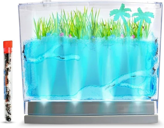 LED Lighted Gel Ecosystem Ant Habitat with 25 Live Ants - Eco-Terrarium Set - Includes Nutrient Gel, Seeds, Palm Trees, Rocks, and More