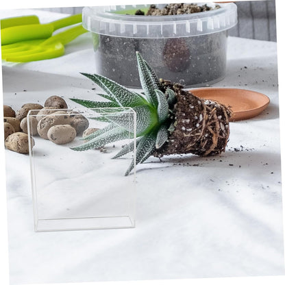 VICASKY Boy Girl Gardening Mini Greenhouse Root Viewer Educational Starter Trays for Indoor Plant Growth and Science Exploration Transparent Design for Young Learners