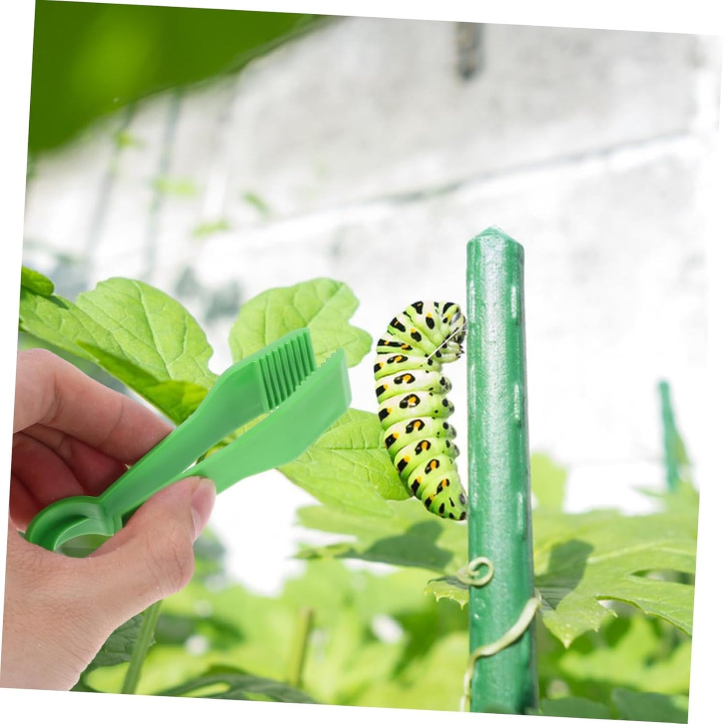 10Pcs Plastic Tweezers Toy Set for Kids Outdoor Insect Catching Clips Fine Motor Skill Development for Crafts and Collecting