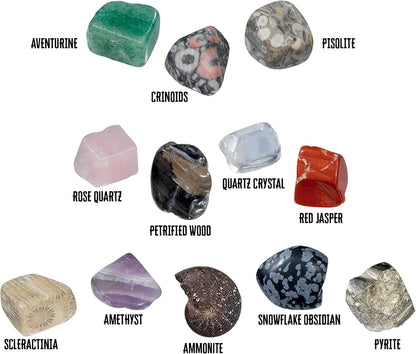 Thames & Kosmos I Dig It! Rocks & Fossils Excavation Gift Set | 24 Excavation Kits w/Mineral & Fossil Specimens | Party Favors, Stocking Stuffer, Easter Baskets | Collect 12 Unique Specimens | EN/FR
