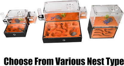 Ant Farm Nest for Adults Study of Ant Behavior Ant Nest ant Terrarium Educational Formicarium for Live Ants and Queen Two Floor