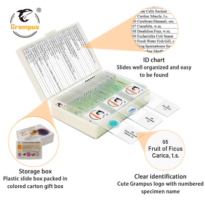 30 Prepared Microscope Slides with Specimens for Kids Students - Plants, for Biological Science Lab, Children's Science Education, Homeschooling Use