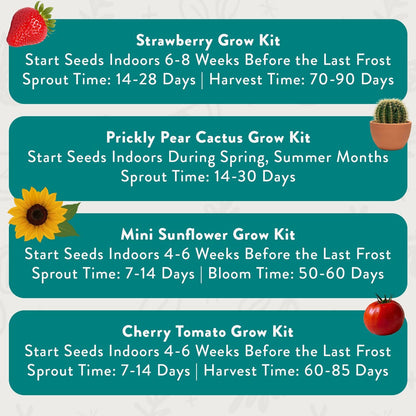 Modern Sprout Complimentary Color Grow Kits (Pack of 4) - Gift for Plant Lovers - Seed Starter Kit - Includes Organic Strawberry Tomato Sunflower & Cactus Seeds - Gardening Gifts that Grows with Love