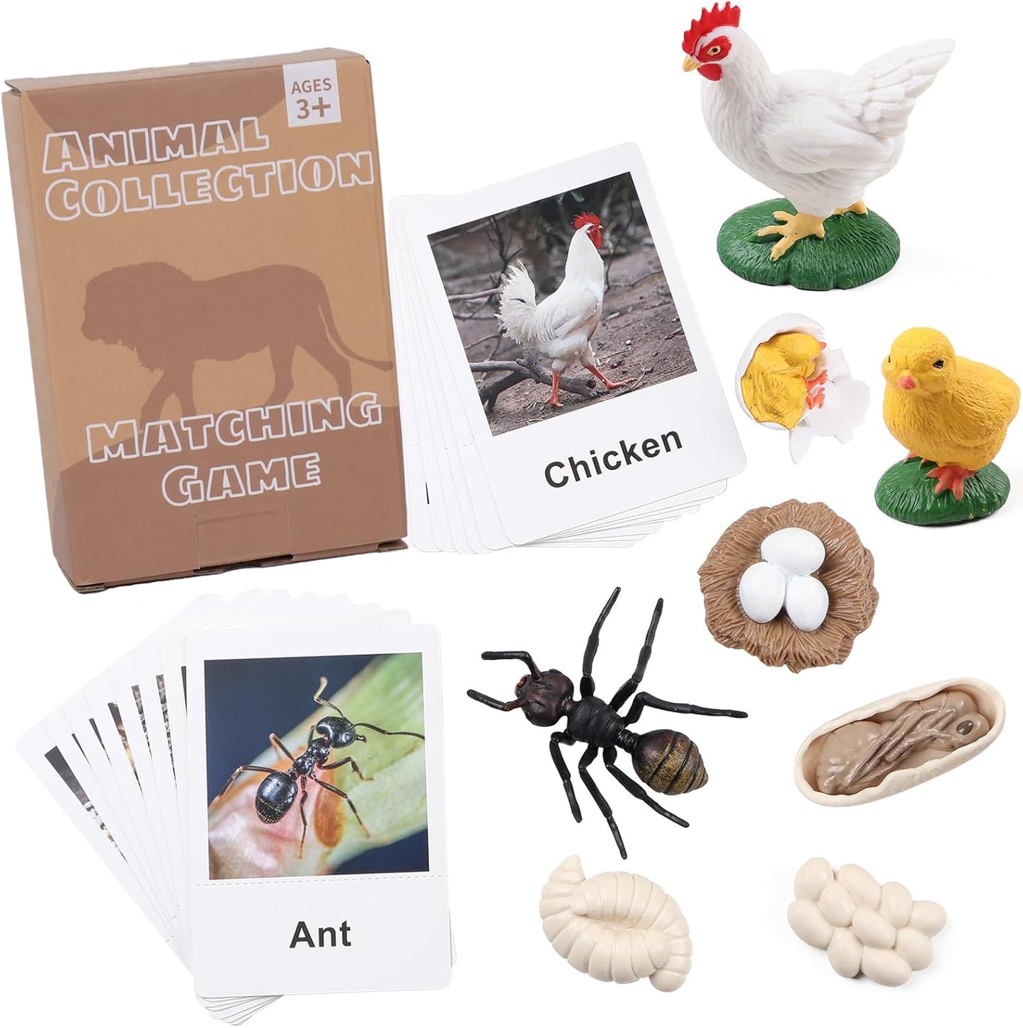 MEROCO Chicken Life Cycle Toys for Kids Insect Ant Bug Toys for Kid 3-5 Animal Flashcards with Figurines Preschool Science Toy for 3-5 Matching Game Science Animals Learning & Education