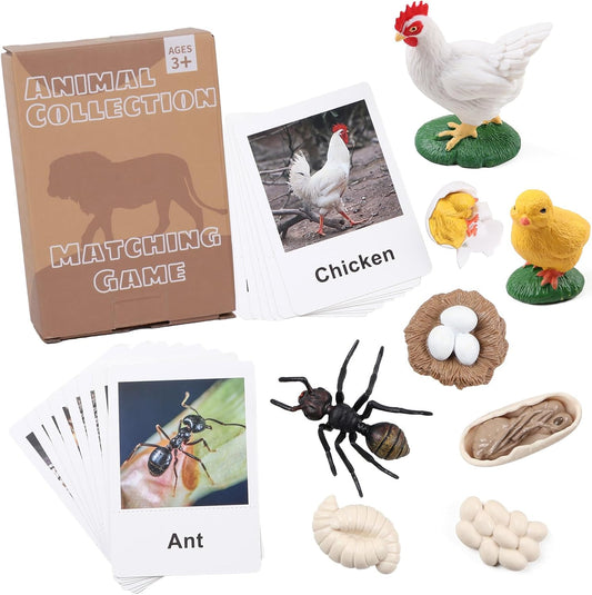 MEROCO Chicken Life Cycle Toys for Kids Insect Ant Bug Toys for Kid 3-5 Animal Flashcards with Figurines Preschool Science Toy for 3-5 Matching Game Science Animals Learning & Education