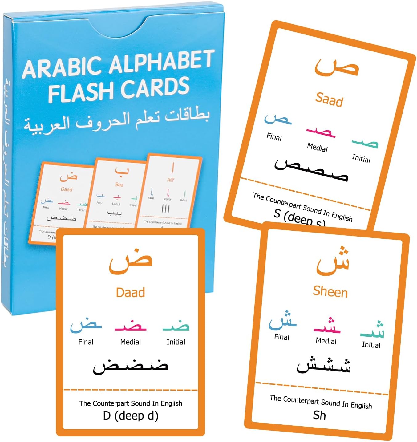 28pcs Arabic Alphabet Flashcards, Learn Arabic Alphabet for Beginner, Educational Language Learning Resource for Grade School, Classroom, Homeschool Supplies