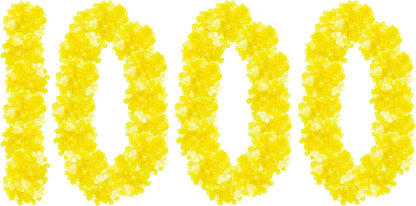 Regal Bingo Plastic Bingo Chips 1000 Pcs - Clear Transparent Counters Game Chips Set for Board Game - Fun Family Bingo Night - 3/4 Inch Yellow Color