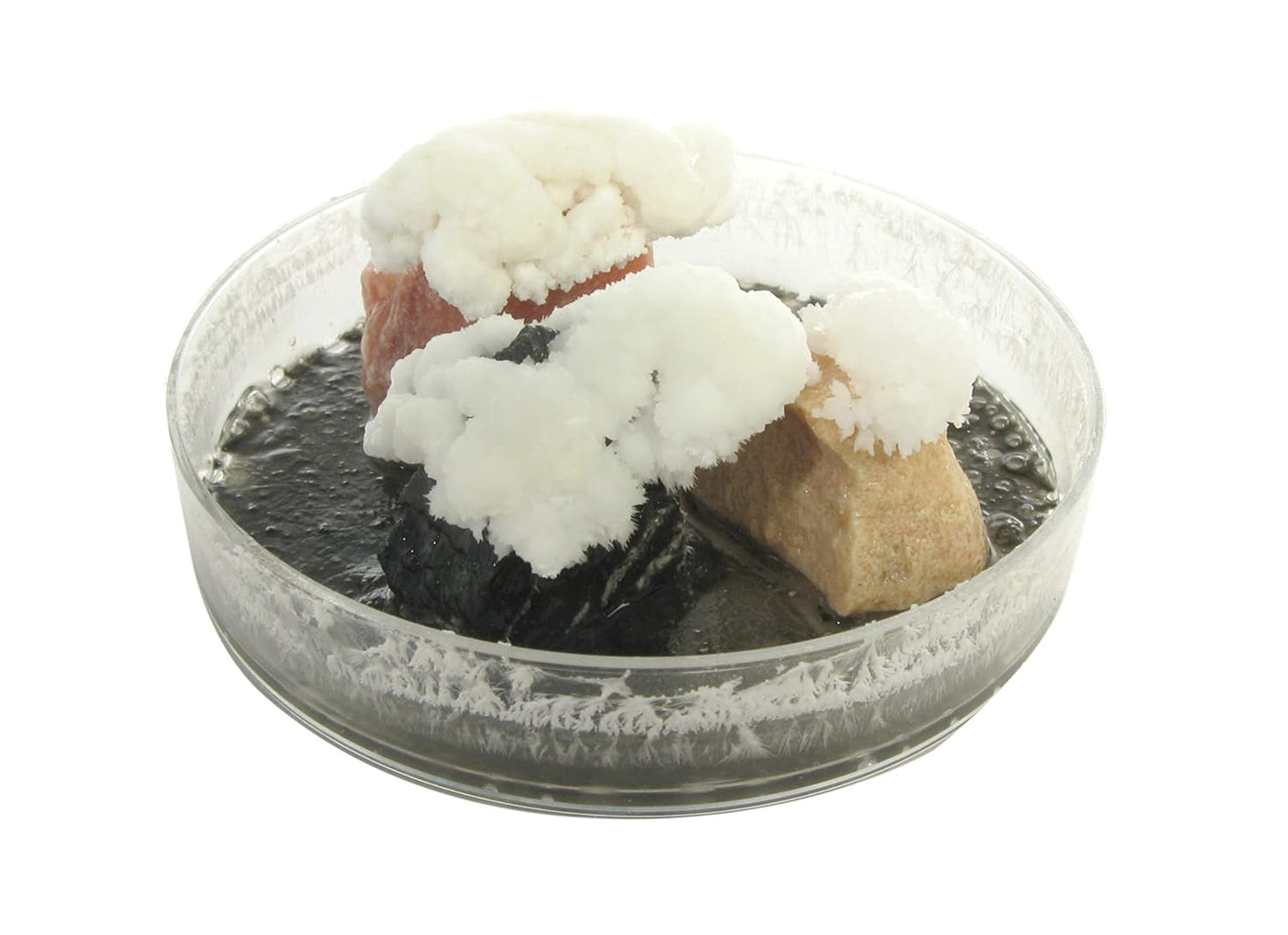 American Educational Products 2971 Explore with Me Geology - Growing Rock Crystals Labless lab Kits, 8" Height, 8" Wide, 8" Length