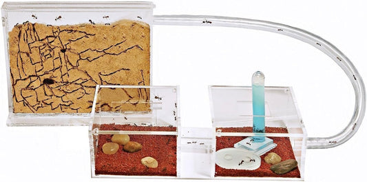 AntHouse Sand Ant Farm Mini - Formicarium