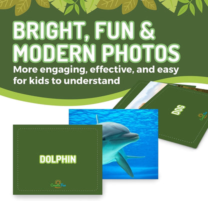 50 Noun Flash Cards, Fun Vocabulary Builder Educational Learning Photo Cards for Kids, Homeschool, Adults, Seniors, Speech Therapy, ESL, Autism, Dementia, Aphasia, SLP, ABA, and Occupational Therapy