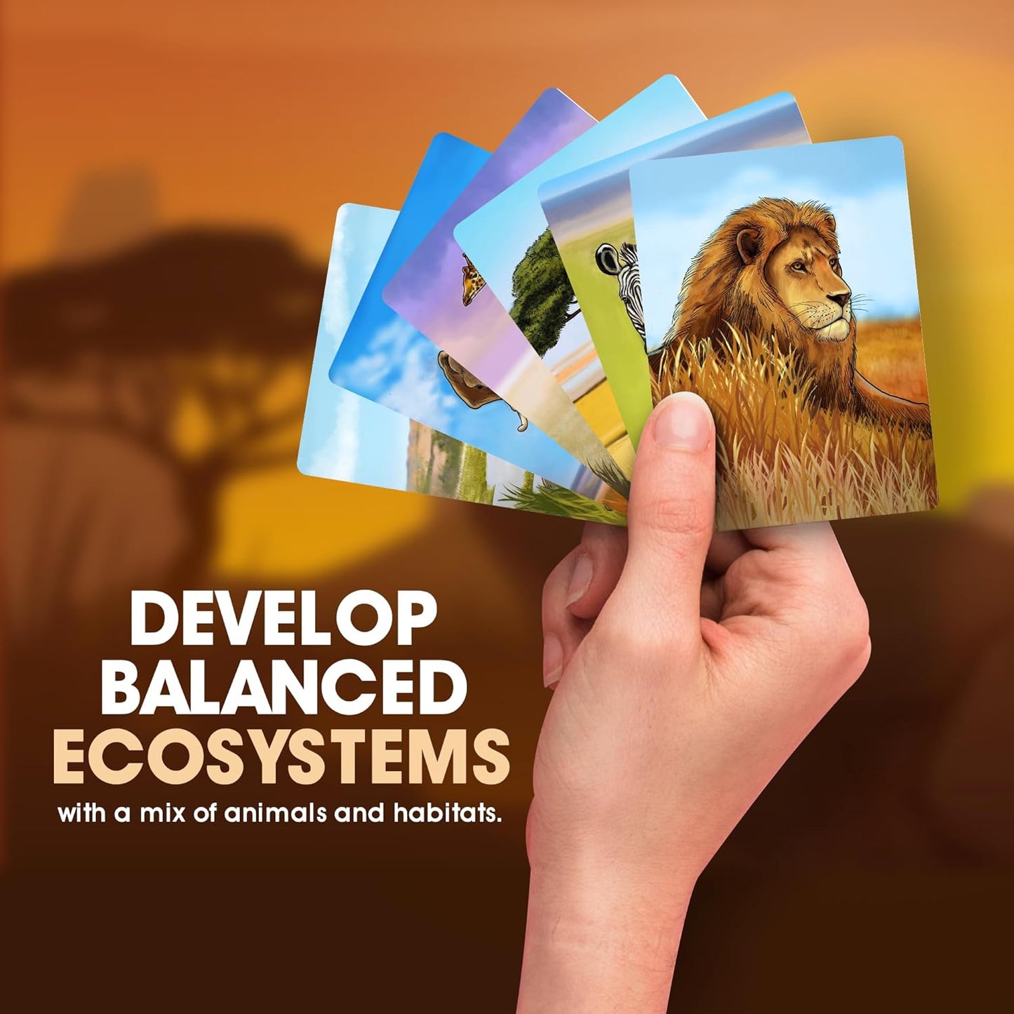 Ecosystem - A Family Card Game about Building Habitats | Learn about Animals, Ecology & Biodiversity for Kids, Adults, Families or the classroom! Fun Board Games for Environmental Science Class