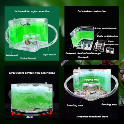 EXBEPE Large 2 Layer Gel Ant Colony Ecosystem Terrarium, Ant Habitat Science Learning Kit