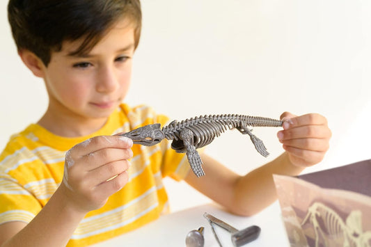 4M Dig a Mosasaurus Skeleton - Educational Fossil Excavation Kit for Kids Ages 8+ - Uncover a Realistic Mosasaurus Model with Tools & Fun Facts - Perfect for Aspiring Paleontologists