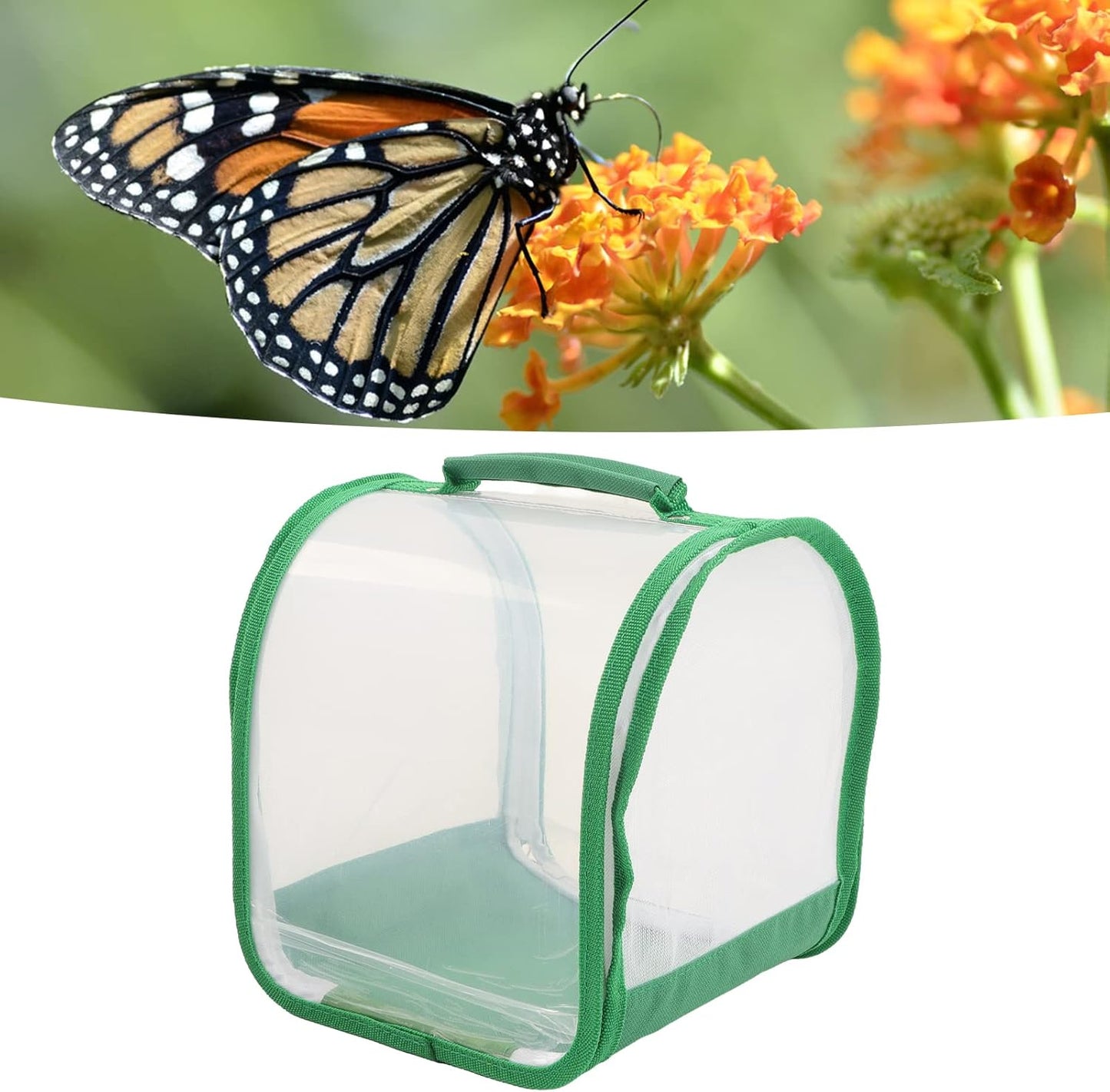 Small Butterfly Habitat,Ins ect Habitat Cage Pop up 360 Degree Full Transparent Foldable Butterfly Habitat Cage,Collapsible Ins ect Mesh Cage(7.9x7.9x8.9in)