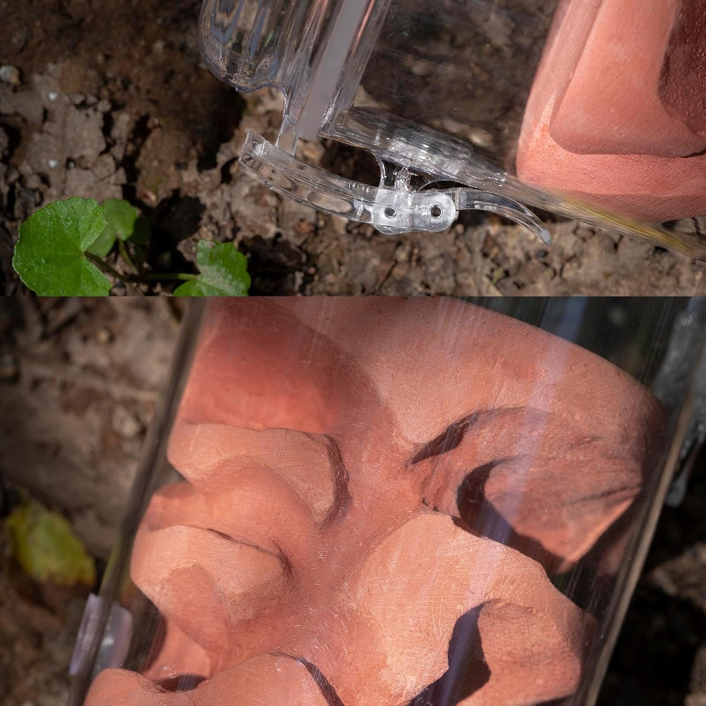 Ant Farm Adult ant Farm ant House pc Material Transparent Plaster Liner ant Observation Behavior Study Live Ants and Queen ant Lovers Educational ant nest Suitable for Children and Lovers Gift