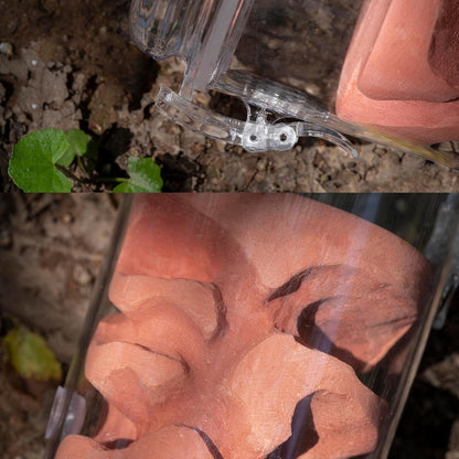 Ant Farm Adult ant Farm ant House pc Material Transparent Plaster Liner ant Observation Behavior Study Live Ants and Queen ant Lovers Educational ant nest Suitable for Children and Lovers Gift