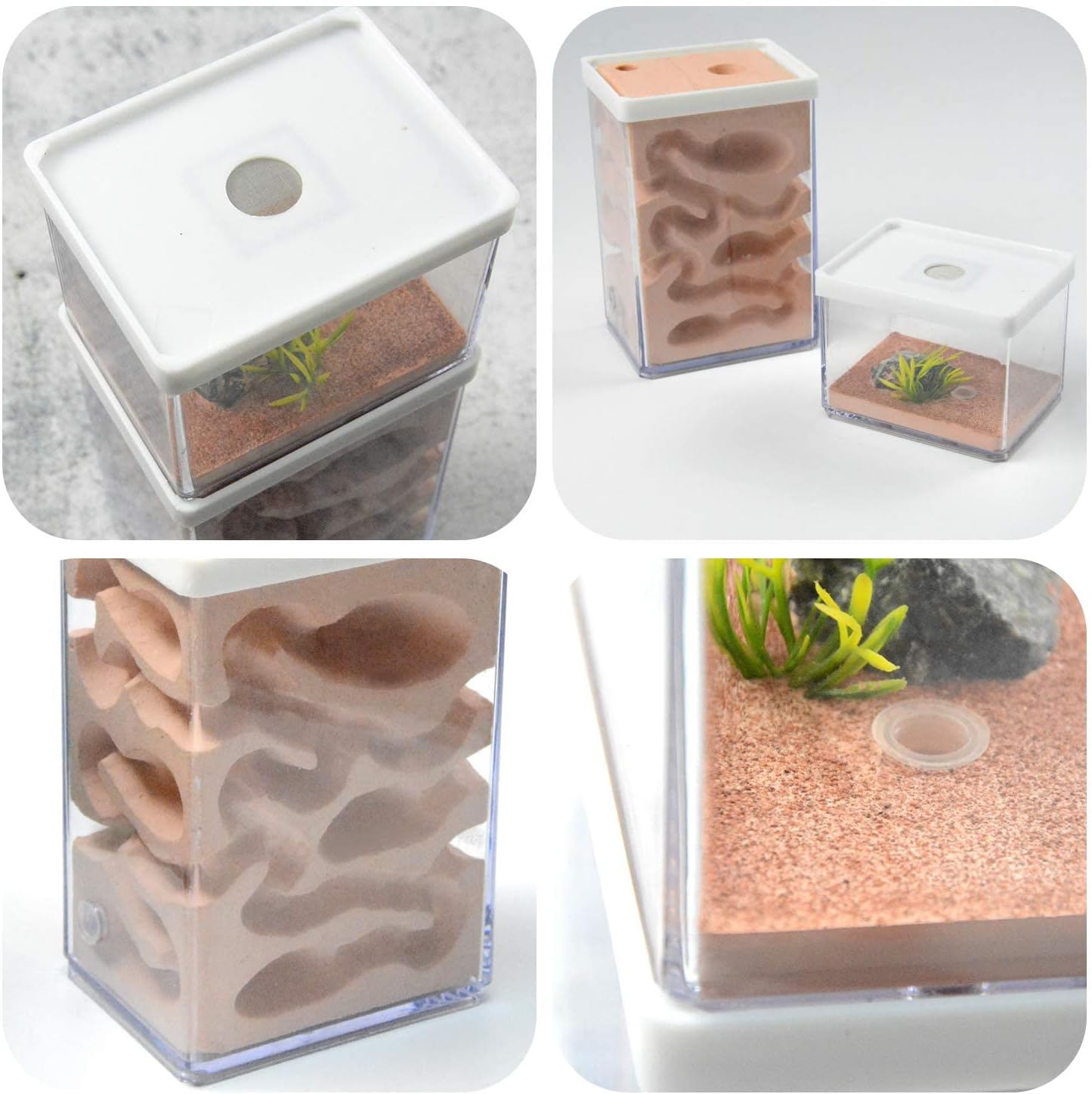 Ecological Ant Nest Farm, Ant Castle Ant Formicarium, Transparent Ant House Plaster Ant Nest, Ant Workshop Insect Villa Ant Feeding Box for Ants Study Science Experiment Gift