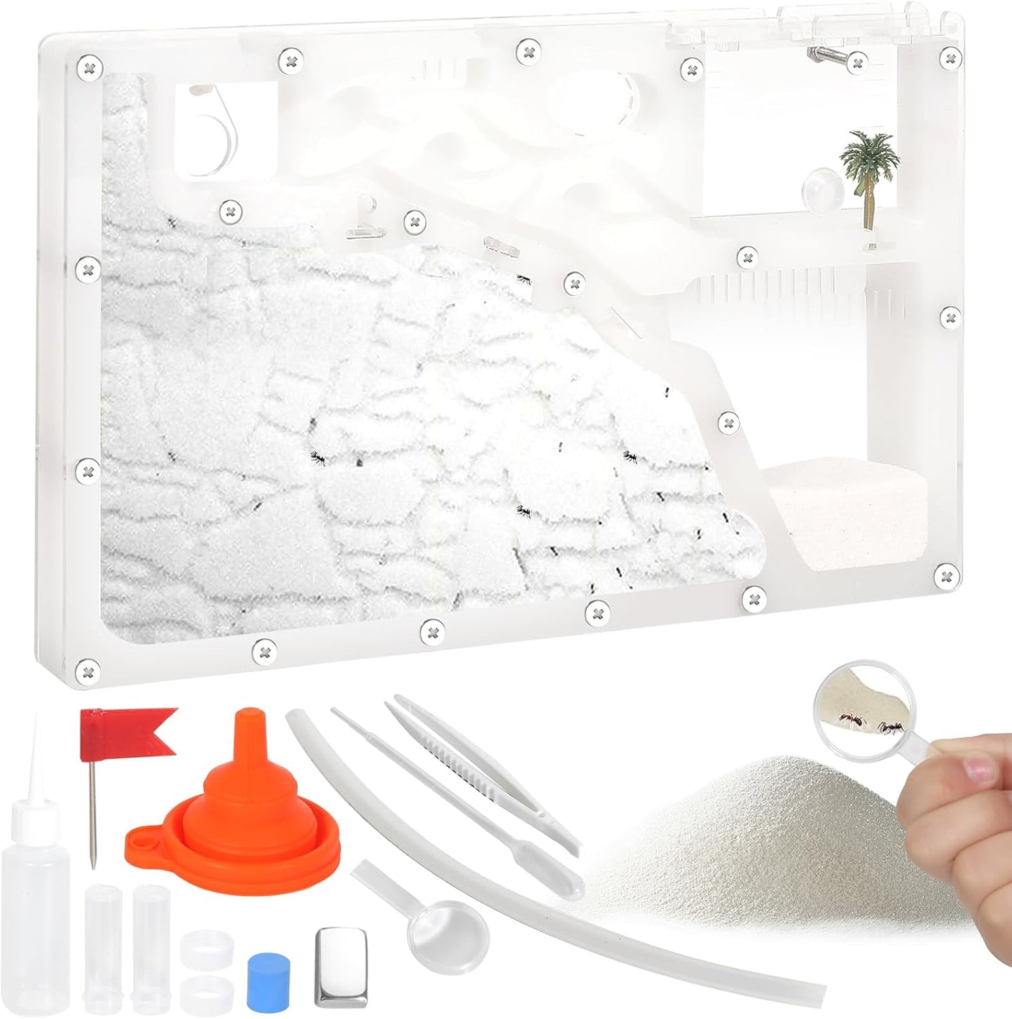 Ant Farms with Connections, Ant Farms, Live Ants for Ant Farm Educational Science DIY Toy Kit - STEM Learning Toy - Great Gifts [Ants not Included] (Rectangle)