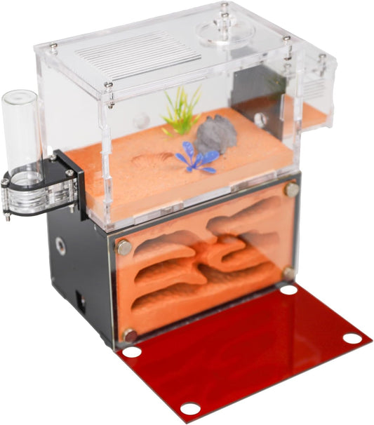 Ant Farm Nest for Adults Study of Ant Behavior Ant Nest ant Terrarium Educational Formicarium for Live Ants and Queen Two Floor