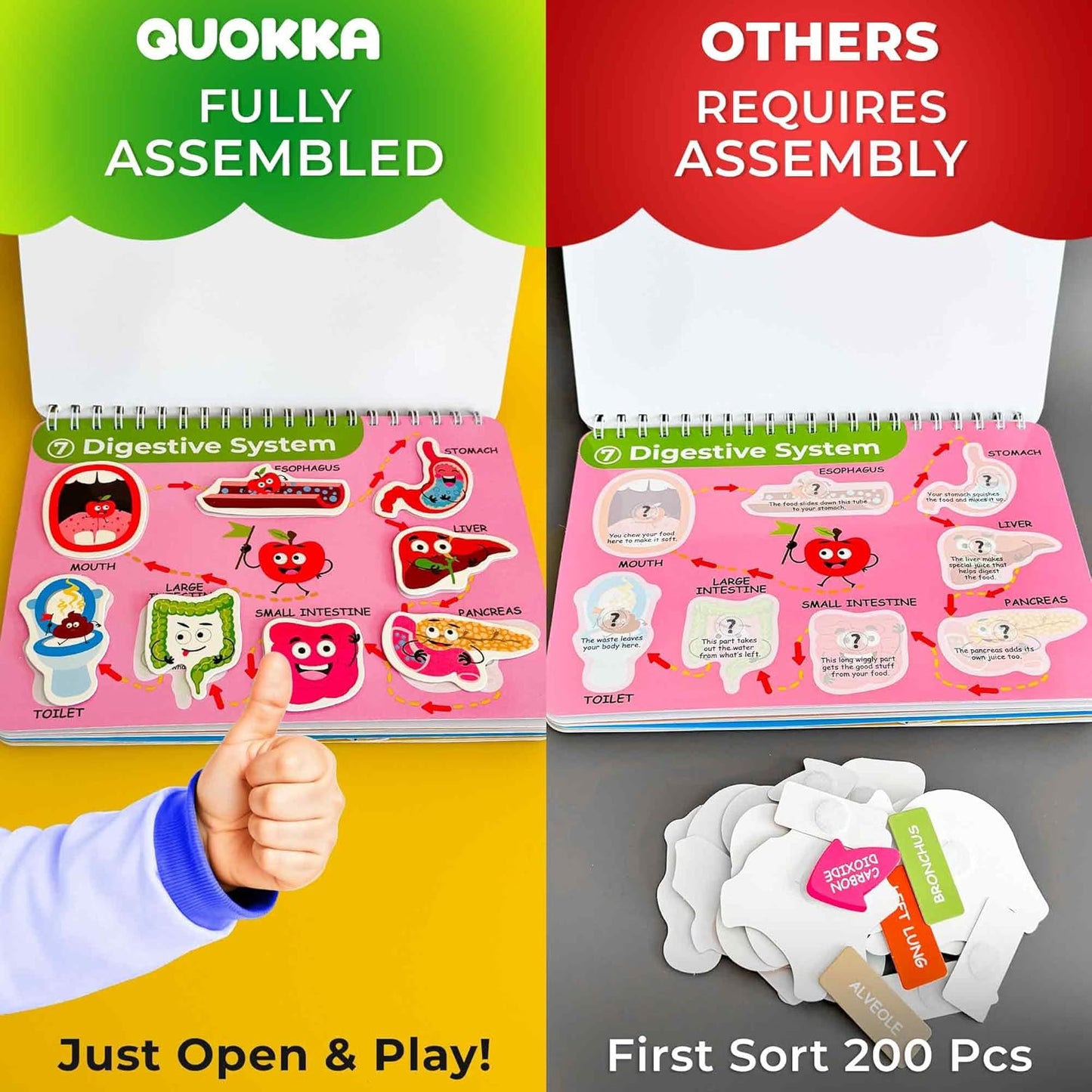 QUOKKA Montessori Busy Book for Toddlers 1-3 - Pre K Kids Learning Activities for Homeschooling - My Preschool Busy Book for Ages 3-5 - 15 Kids Educational Activities 2-4 Years