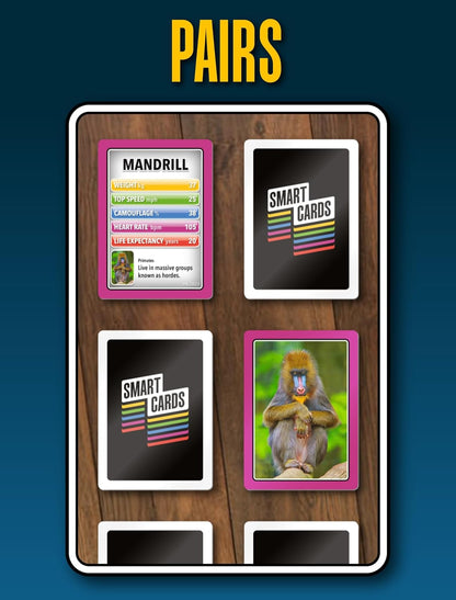 SMART CARDS DINOSAURS Card Game - Matching Pairs, Snap, Trumps, Rummy, Happy Families (7 Games To Play) | Travel Game, Gift, Stocking Stuffer | for Adults, Kids, Boys, Girls | Age 5+, 1-8 Players