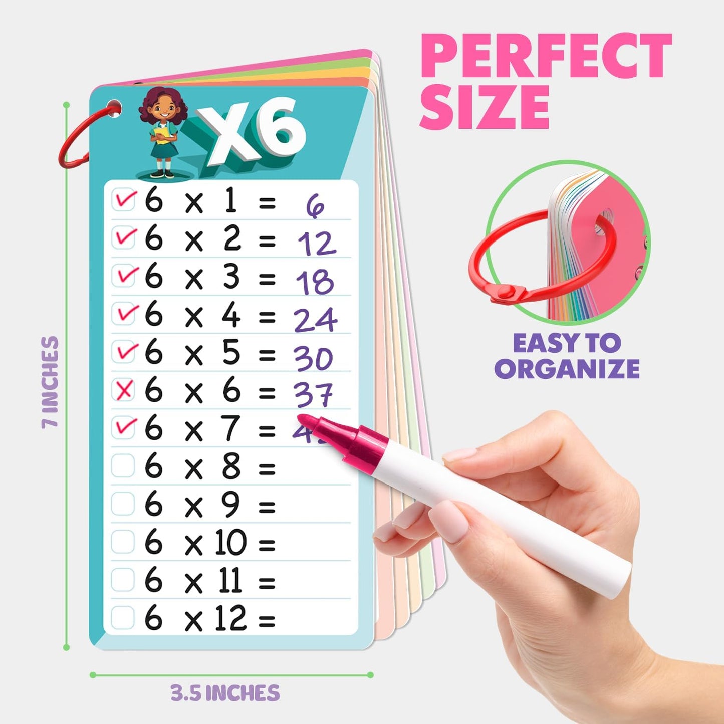 SCRIBBLEDO Dry Erase Multiplication Flash Cards Math 0-12 2nd 3rd 4th Grade Math Flash Cards Reusable Wipe Clean Double-Sided Multiplication Flashcards for Classroom Homeschool Times Tables