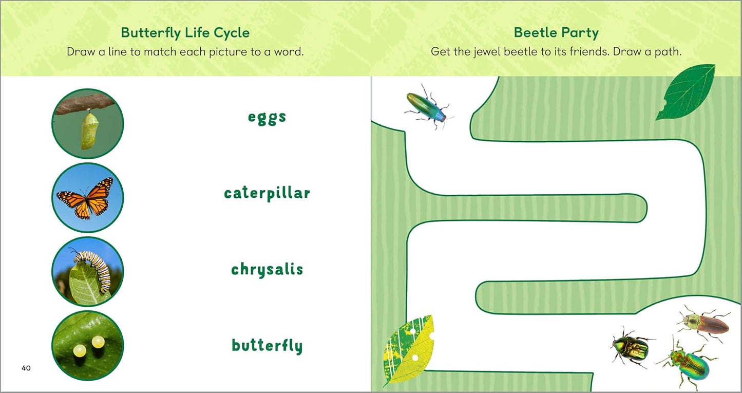 The Backyard Bug Book for Kids: Storybook, Insect Facts, and Activities (Little Scientists Learn)