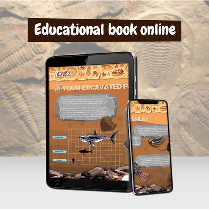 Science4you Fossil Digging Kit for Kids – Archeology, Excavation and Paleotology Kits for Kids, Fossil Dig, Stem Toy and Gift for Boys and Girls Age 6 7 8-12+