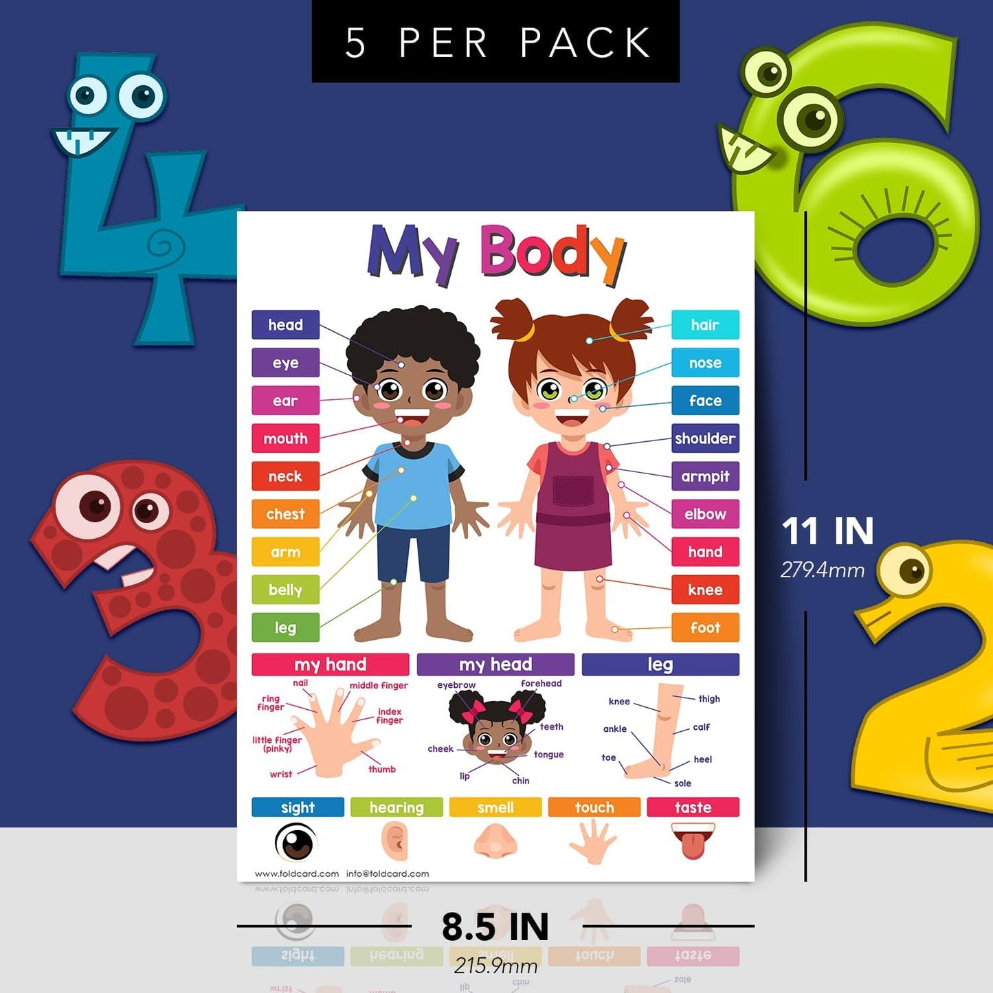 Multiplication Chart Math Table Poster – Double-Sided Educational Visual/Learning Aid Poster, Bright and Colorful | Glossy Durable Cardstock | 8.5 x 11" | 5 per Pack