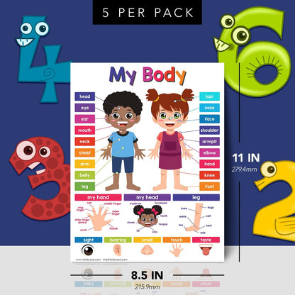 Multiplication Chart Math Table Poster – Double-Sided Educational Visual/Learning Aid Poster, Bright and Colorful | Glossy Durable Cardstock | 8.5 x 11" | 5 per Pack