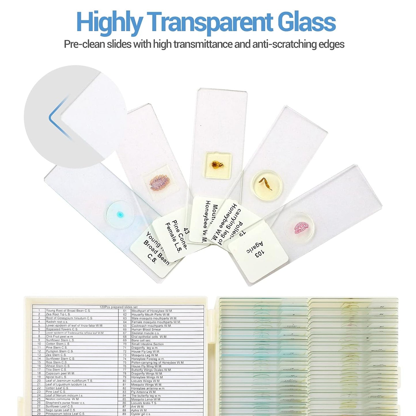 30 Microscope Slides with Specimens for Kids, Prepared Microscope Slides for Kids Microbiology, Glass Slides for Microscope, Biology Gifts for Adults Kids