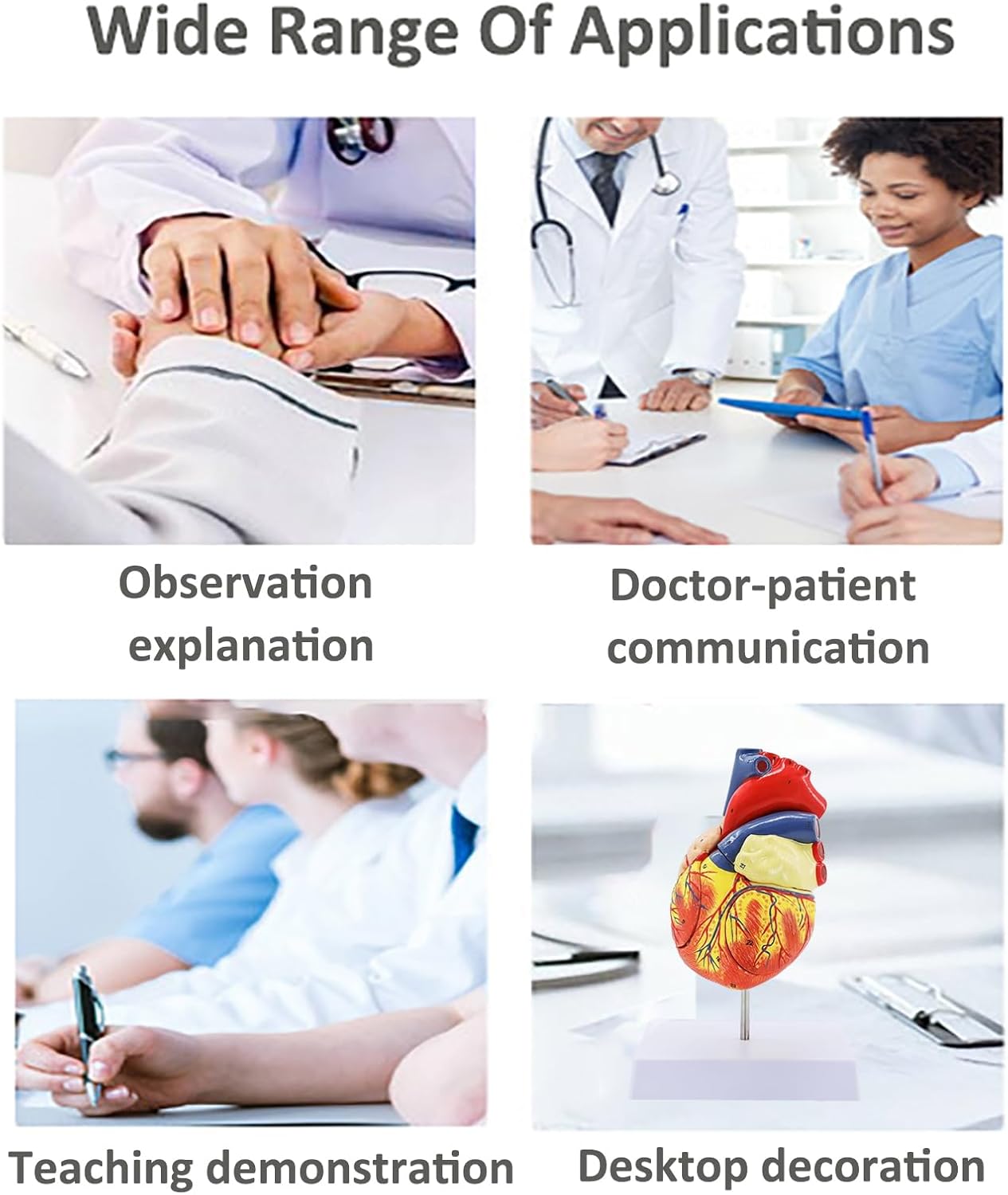 Human Heart Model - Life Size 2 Parts Medical Teaching Model,with 34 Accurate Digital Identification, Magnetic Design, Mounted Display Base, Product Manual Card, for Classroom, Study (1:1 Life Size)