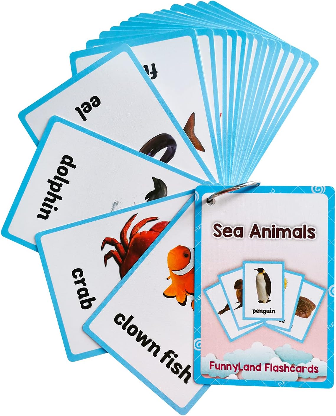 Lilias Body Parts Flash Cards, Toddler & Preschool Learning Toys, Kindergarten Learning Supplies, 4.3 x 3.14 Inch, 34 Cards