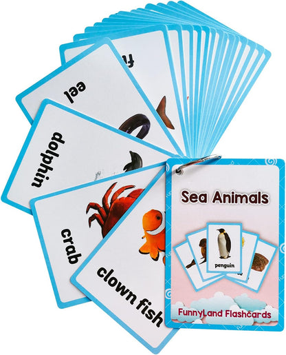 Lilias Body Parts Flash Cards, Toddler & Preschool Learning Toys, Kindergarten Learning Supplies, 4.3 x 3.14 Inch, 34 Cards