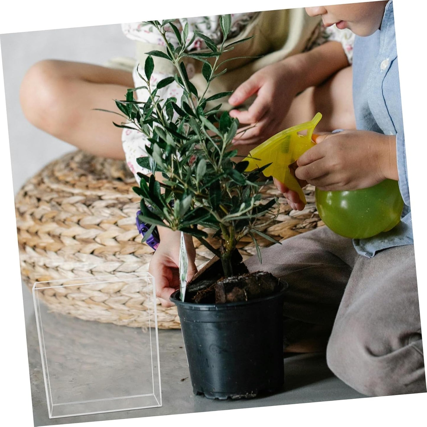 Yardwe Educational Tool Root Viewer Kit for Boys and Plant Rooting Mini Greenhouse Seedling Trays