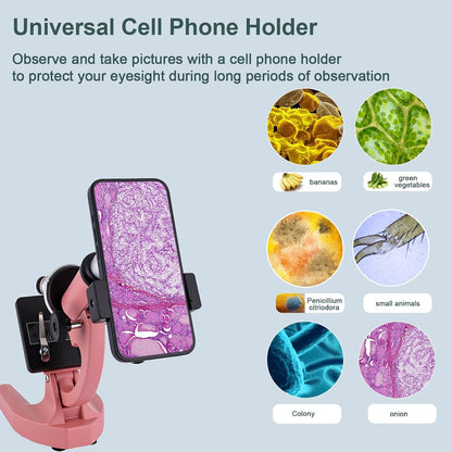 Microscope for Kids & Adults,40X-2000X Magnification Microscope for Kids 8-12, with LED Fill Light & Phone Holder, Great for School Labs and Home Schooling
