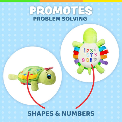 Buckle Toys - Belle Turtle - Learning Activity - Develop Motor Skills and Problem Solving - Counting and Color Recognition - Airplane Travel Essentials - Kids Stuffed Animal