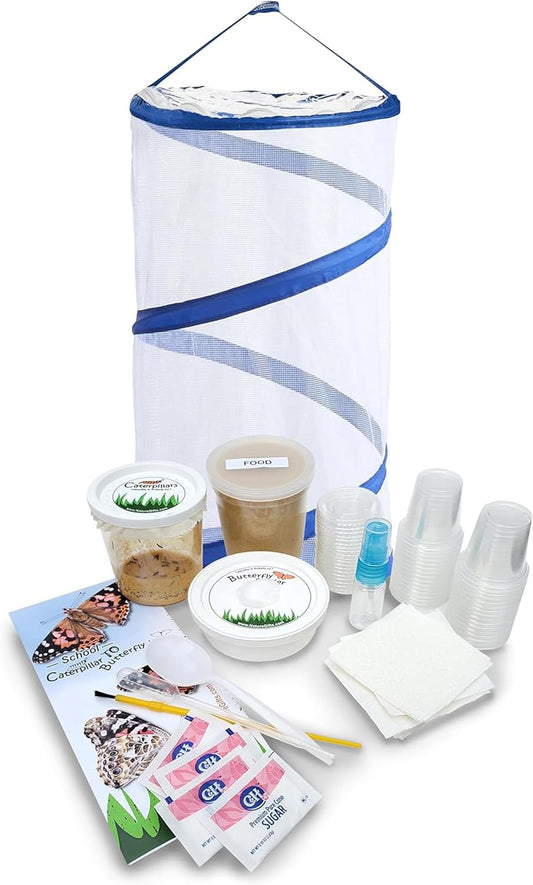 30 Live Caterpillars for Butterfly Habitat Kit - Refill for Painted Lady Butterfly Kit with Caterpillar Food, Instructions - Educational Science Kit, 6 Cups of 5 Caterpillars