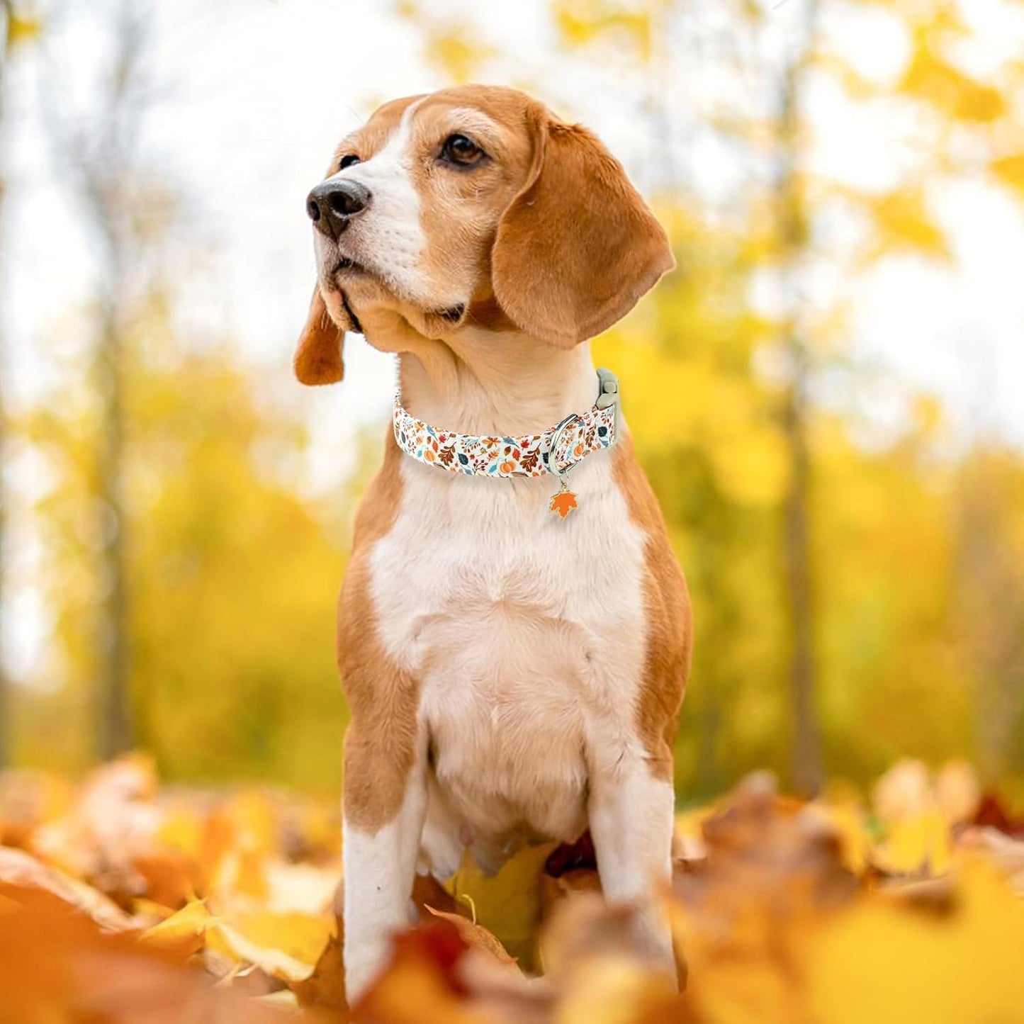Faygarsle Dog Collar for Small Medium Large Dogs Colorful Puppy Collars for Female Dogs Toy Building Blocks Patterned Pet Collars for Summer Spring Wedding Puppy Girl Dog Collar M