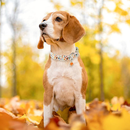 Faygarsle Dog Collar for Small Medium Large Dogs Colorful Puppy Collars for Female Dogs Toy Building Blocks Patterned Pet Collars for Summer Spring Wedding Puppy Girl Dog Collar M