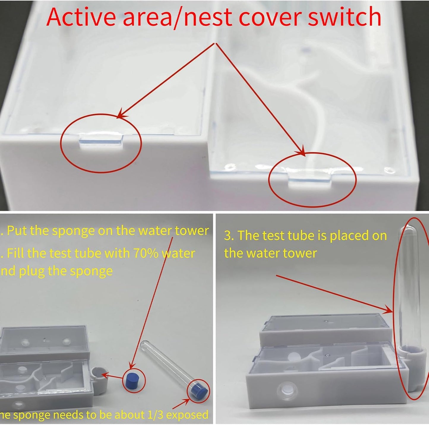 Ant Nest Farm No Need to Assemble Transparent Ants Observe Behavior Study Live Ants and Queen Ants Education Ant nest Small Community Feeding Area Suitable for Children and Lovers Gifts