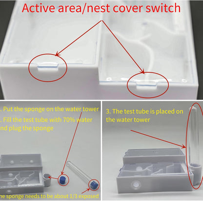 Ant Nest Farm No Need to Assemble Transparent Ants Observe Behavior Study Live Ants and Queen Ants Education Ant nest Small Community Feeding Area Suitable for Children and Lovers Gifts