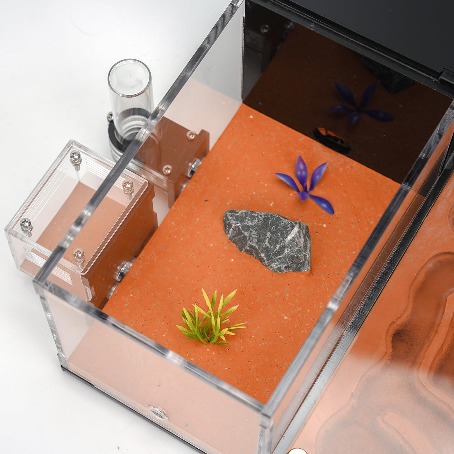 Ant Farm for Live Ants - for Small Ant Clony - Natural Learning Toy - Great Gift